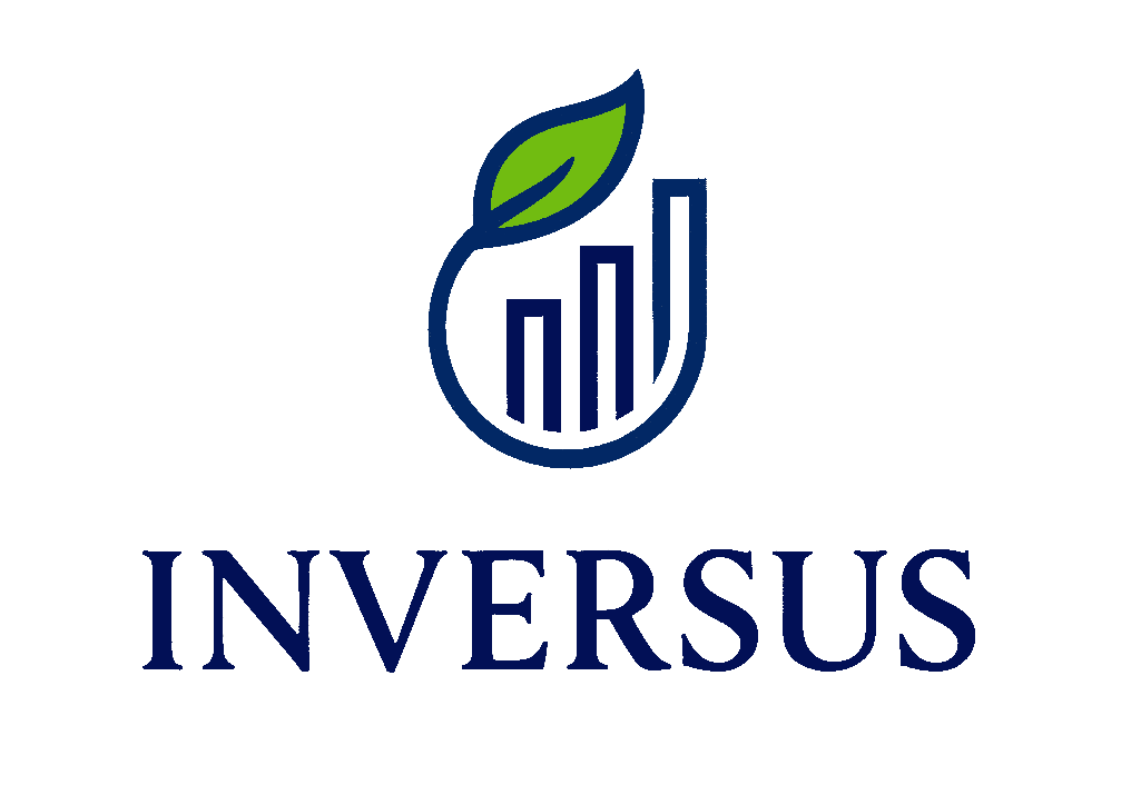 Inversus Kurumsal Görsel